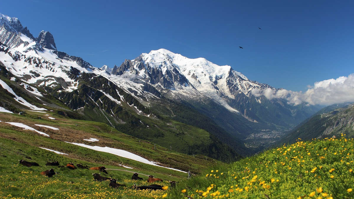 Viaggi organizzati in montagna in estate per la Settimana Verde in valle d'aosta