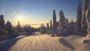 Viaggio organizzato Rovaniemi e Villaggio Babbo Natale