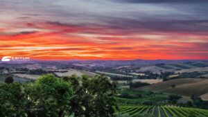 viaggio organizzato nella terra del verdicchio in pullman a jesi marche