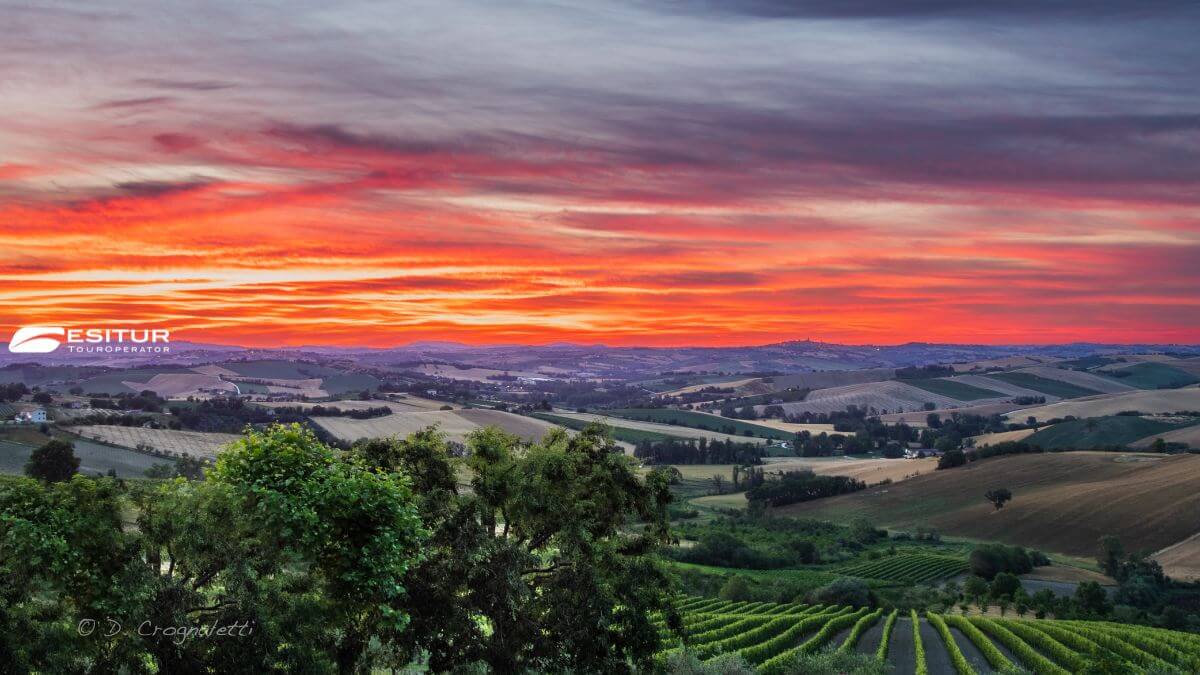 viaggio organizzato nella terra del verdicchio in pullman a jesi