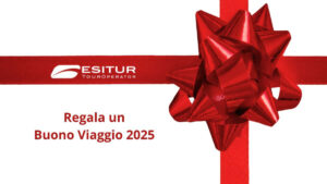 regalo di natale un buono viaggio per il 2025 in pullman o in aereo