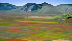 Viaggi organizzati a castelluccio di norcia per la fioritura delle lenticchie dalle marche