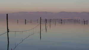 viaggi organizzati al lago trasimeno in pullman luci di natale