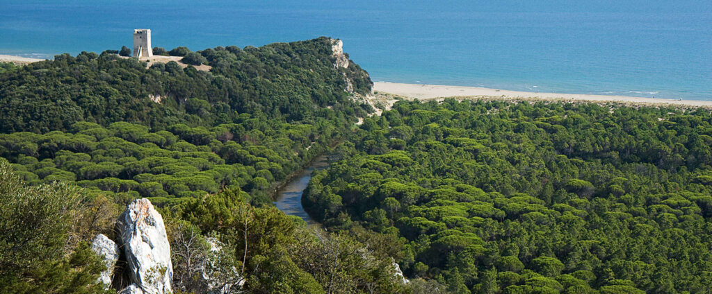 maremma-parco-viaggio-organizzato