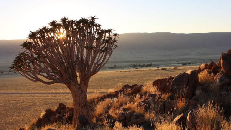 namibia-viaggio-organizzato-adventure