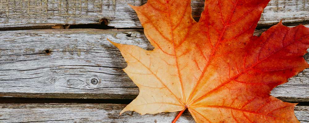novembre-esitur-viaggi-organizzati
