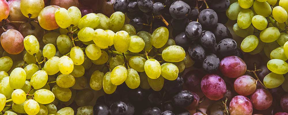 settembre-esitur-viaggi