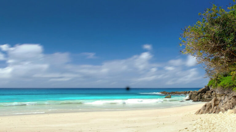 seychelles-viaggio-organizzato-in-aereo-in-africa