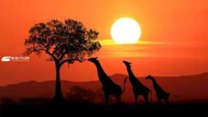 Mar Rosso o Kenya 2025
