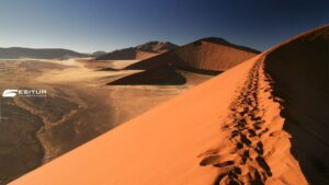 viaggio organizzato in namibia in aereo con partenza da roma