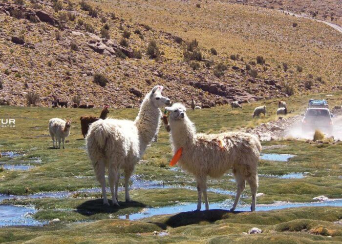 bolivia viaggio organizzato in aereo