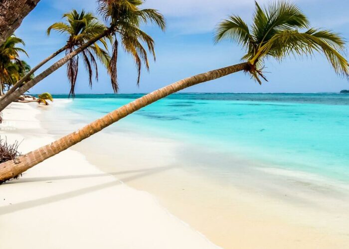 viaggio organizzato in aereo in america ai caraibi