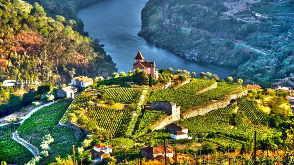 viaggi organizzati nella valle del douro in portogallo