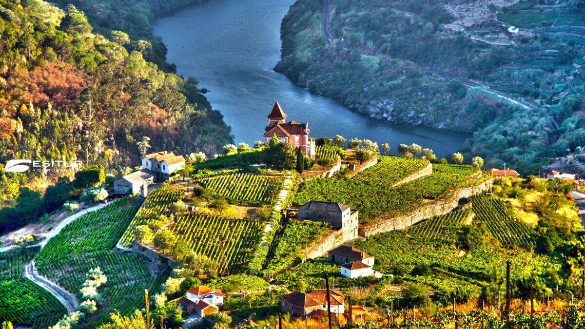 Porto e la Valle del Douro. Tra vigneti, crociere e panorami da sogno