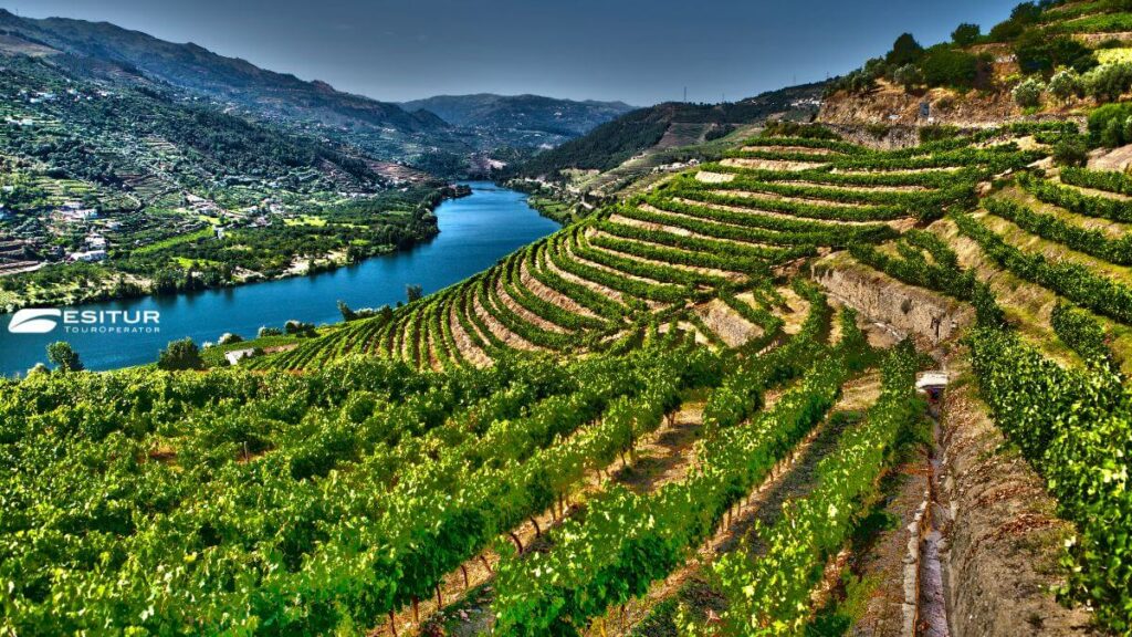 Viaggi organizzati ESITUR | Valle del Douro portogallo viaggio organizzato