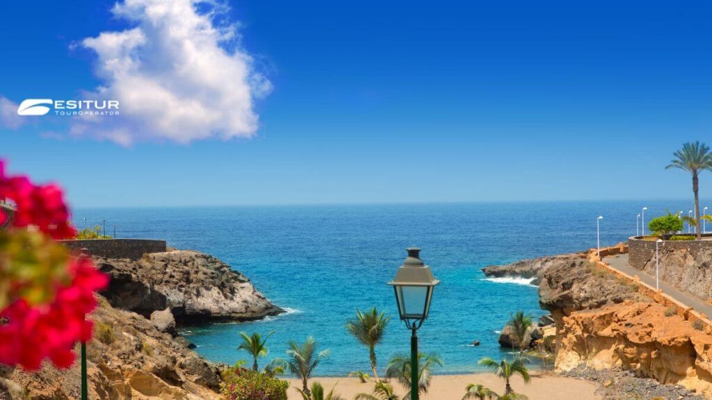Costa di Tenerife viaggio organizzato Quale isola delle Canarie scegliere