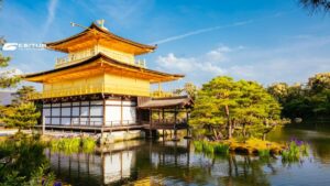 viaggio organizzato in giappone in business class