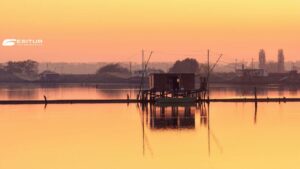 cicloturismo tra ferrara e le sue valli in bici
