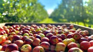 viaggio organizzato in val di non relax e benessere