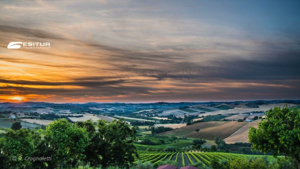 viaggio organizzato per cantine aperte nel verdicchio in pullman
