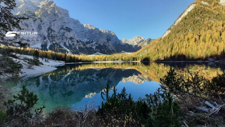 Lago di Braies tra larici dorati e cime innevate riflesse nell’acqua, foliage in Italia durante un viaggio autunnale