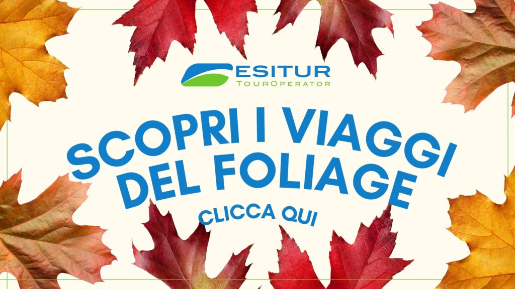 foglie autunnali e invito a scoprire i viaggi del foliage in Italia