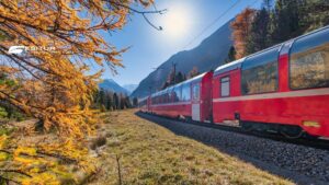 Trenino Rosso del Bernina tra larici dorati e montagne alpine, viaggio panoramico nel foliage autunnale