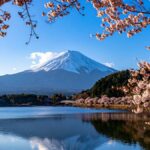 Monte Fuji sul lago tra rami di ciliegio in fiore, Viaggio organizzato in Giappone per la Fioritura Invernale