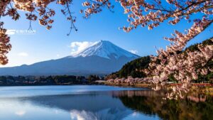 Monte Fuji sul lago tra rami di ciliegio in fiore, Viaggio organizzato in Giappone per la Fioritura Invernale